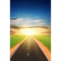 Seamless Vinyl Photography Backdrop Highway on the Green Wild Computer Printed Scenic Nature Backgrounds for Photo Studio F-3165