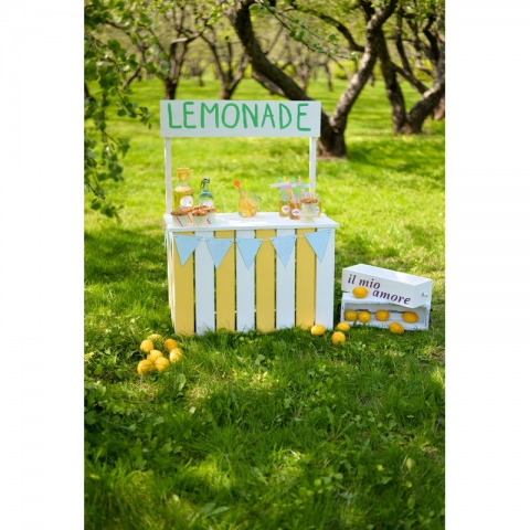 Seamless Vinyl Photography Backdrop Outdoor Lemonade Scenic Computer Printed Children Backgrounds for Photo Studio