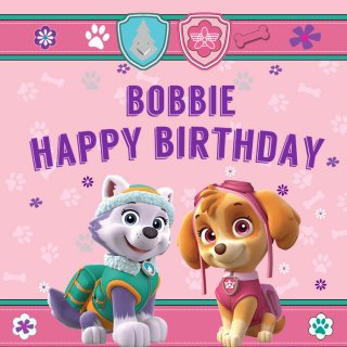 Famous Cartoon Dogs Girls Children Happy Birthday Party Backdrops Pink Theme Mural Backgrounds For Photo Studio Vinyl