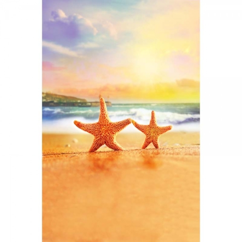 Sunset Landscape Party Backdrop with Starfish Beach Theme Background for Kids Birthday Nature Backdrops for Photo Studio