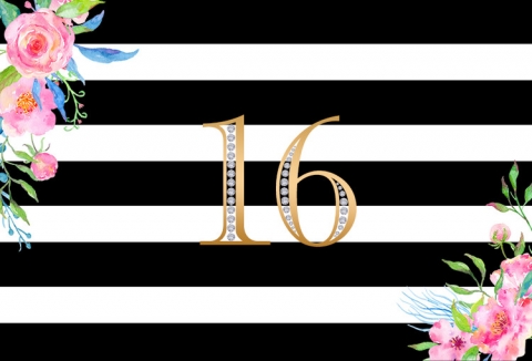 Sweet 16 Birthday Backdrop Black and White Striped Photography Background for Party Decoration Photo Studio Props