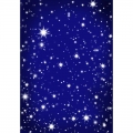 Twinkle Glitter Stars Photography Backdrops Photo Booth Background for Studio Birthday Party