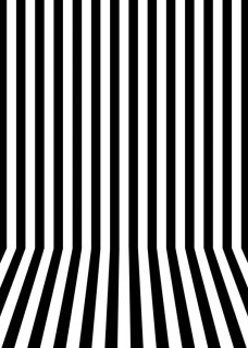 Vinyl Black and White Striped Professional Photography Backdrop Photo Booth Background for Art Studio Props Birthday Party Vinyl 5x7 FT  