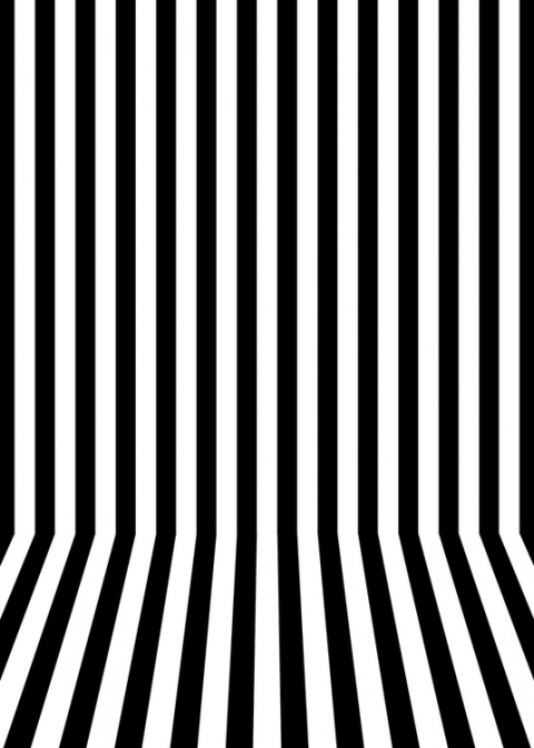 Vinyl Black and White Striped Professional Photography Backdrop Photo Booth Background for Art Studio Props Birthday Party Vinyl 5x7 FT  