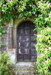 Vinyl Photo Booth Backdrop Stone Wall Black Wood Door Photography Background Studio Props 