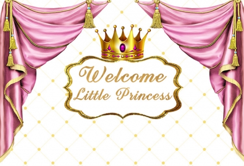 Welcome Little Princess Photography Backdrops for Girls Newborn Birthday Party Gold Baby Shower Photo Background for Art Studio Party Decoration