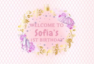 Welcome to First Birthday Party Photography Backdrop for Girls Customized Baby Shower Photo Background Party Banner Vinyl Fabric