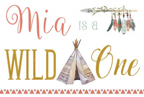 Wild One Photography Backdrops Tribal Dessert Table Banner Birthday Tepee Background For Photo Studio 7x5FT Vinyl