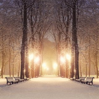 Winter Night Scene Photography Backdrops Snow Scene Photo Background for Professional Photo Studio