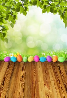 Wood Floor Photography Backdrops for Studio Easter Eggs Green Grass Vinyl Background for Photo Booth 5x7ft