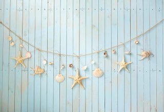 Wood Wall Photo Booth Backdrops with Starfish Outdoor Photography Background Wall Paper Room Decoration