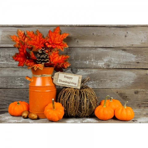 Wood Wall Pumpkin Photography Backdrops for Kids Children Photo Booth Background Vinyl Fabric