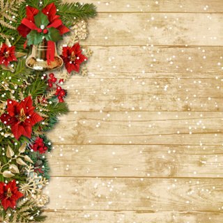 Wood Wall Red Flowers Photography Backdrops for Photo Studio Kids Birthday Photo Studio Props