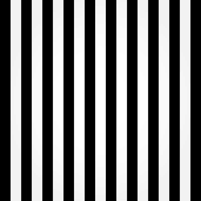 Black and White Striped Photography Backdrop for Studio Booth Wall ...